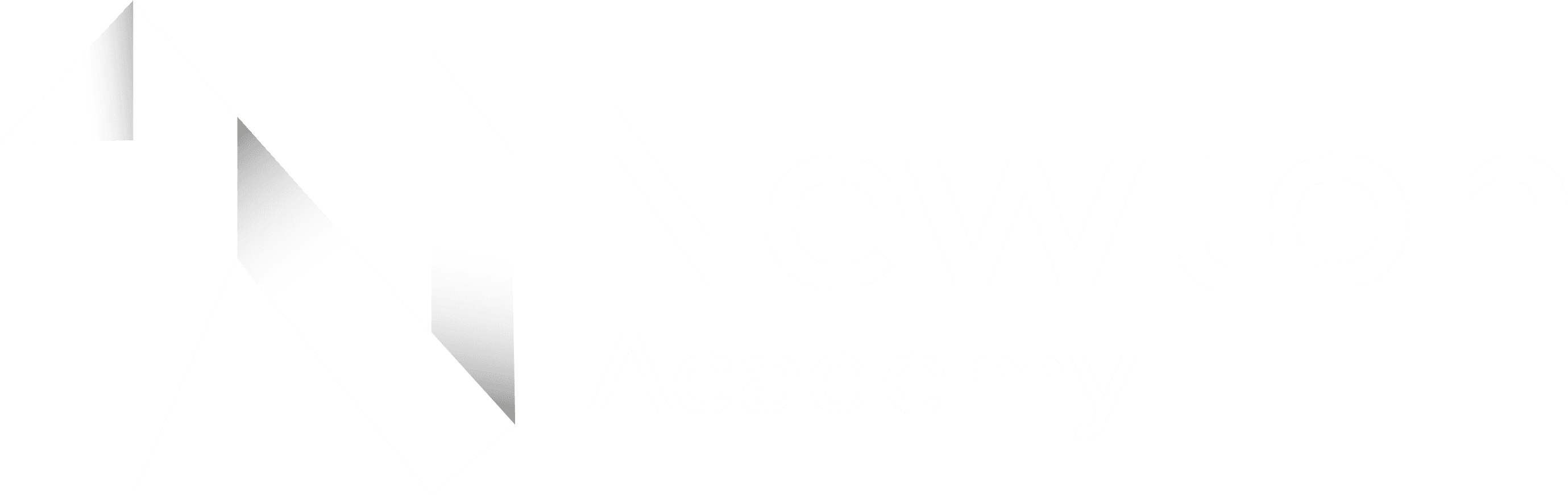 Newton Academy